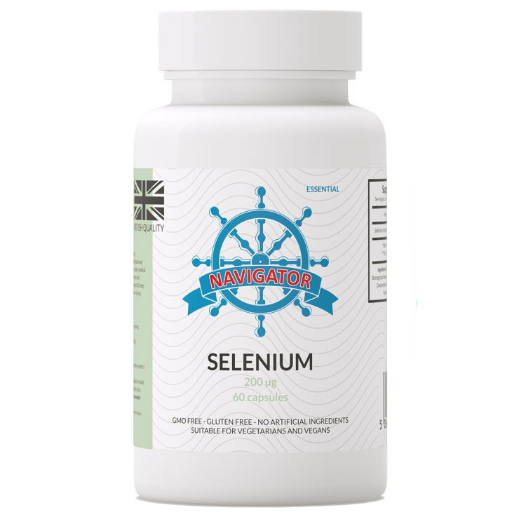 nav_selenium_60.png